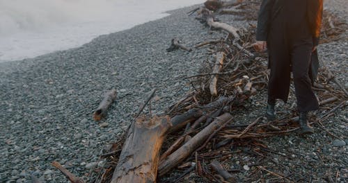 有关@户外, 人, 传统舞蹈的免费素材视频