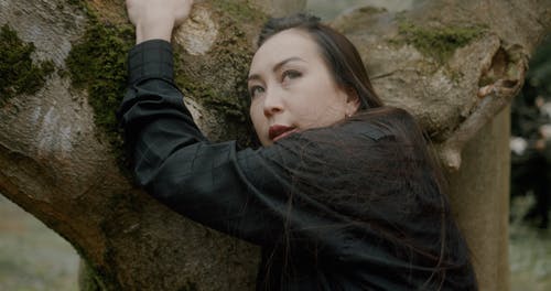 有关女人, 女性, 树干的免费素材视频