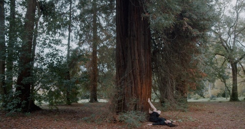 有关天性,女人,性质的免费素材视频