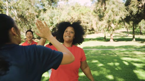 有关公园, 团队, 团体管理的免费素材视频