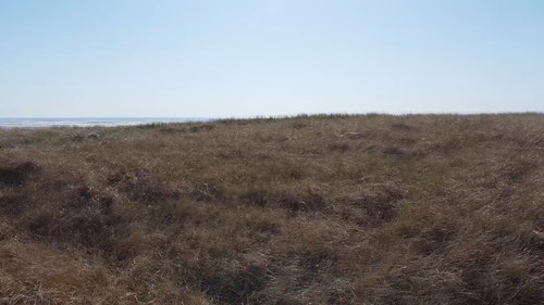 有关人,夏天,夏季的免费素材视频