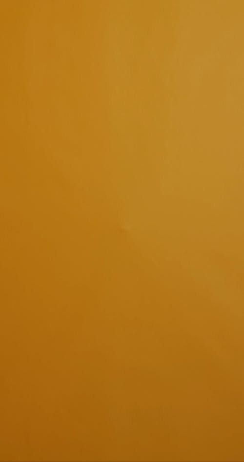 有关垂直视频, 工作室, 年轻人的免费素材视频