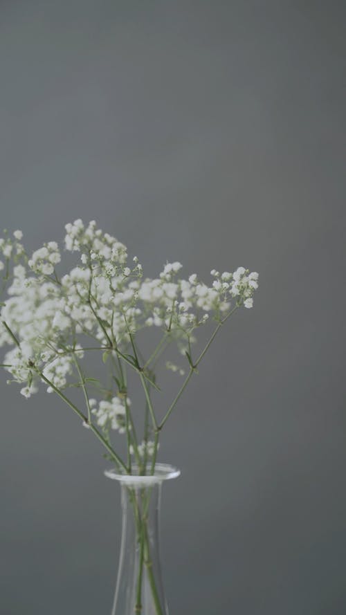 有关垂直视频, 夏天, 室内的免费素材视频