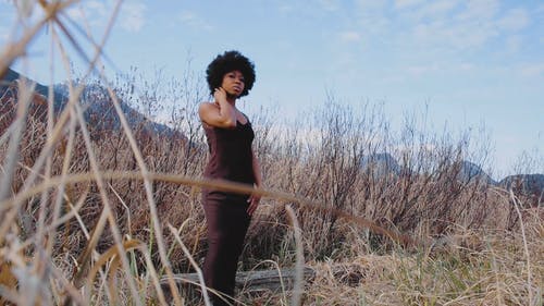 有关博霍, 天性, 女人的免费素材视频