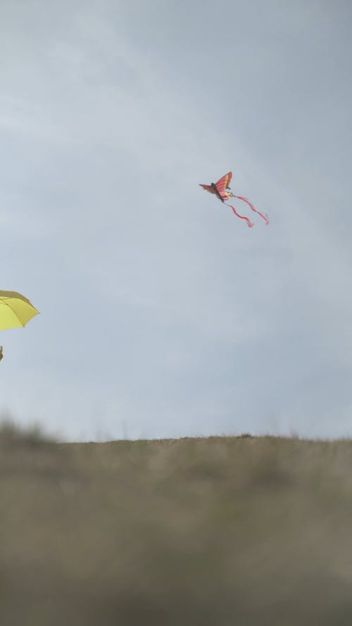 有关垂直视频, 女人, 户外的免费素材视频