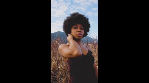 有关博霍, 垂直视频, 多样化的免费素材视频