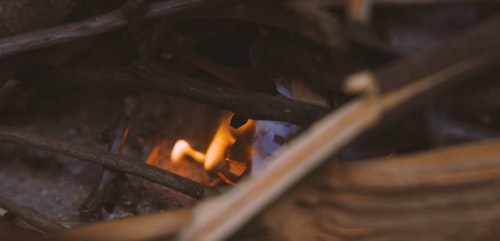 有关森林,树林,火的免费素材视频