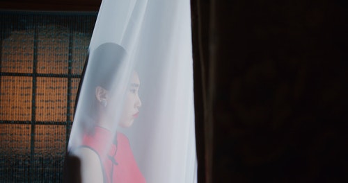 有关一对,一起,夫妻的免费素材视频