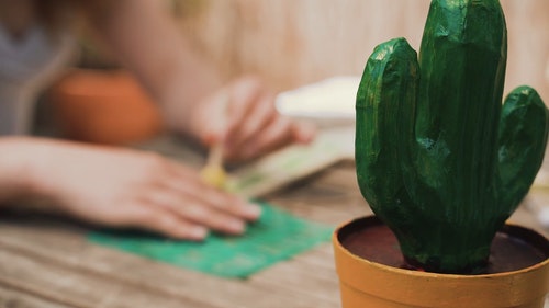 有关仙人掌,女孩,手的免费素材视频
