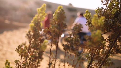 有关冒险, 坐, 天性的免费素材视频