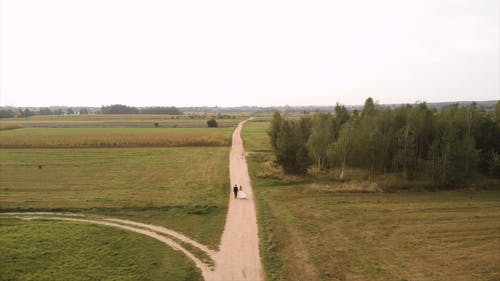 有关夥伴, 天性, 小径的免费素材视频