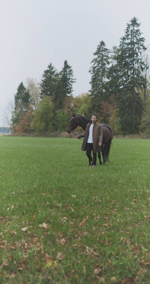 有关4k, 人, 动物的免费素材视频