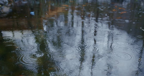 有关4k,下雨,天性的免费素材视频