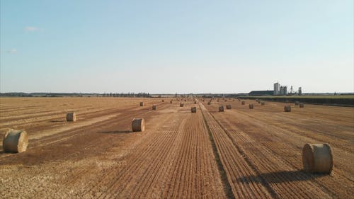 有关下田, 乾草, 农业用地的免费素材视频