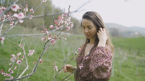 有关天性, 女人, 女士的免费素材视频