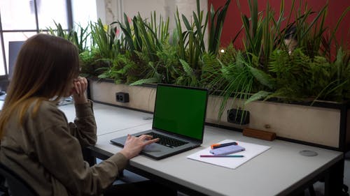 有关后视图, 商业, 女人的免费素材视频