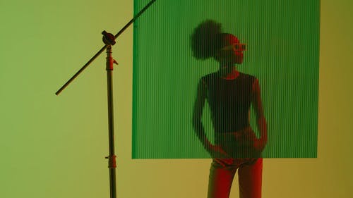 有关女人, 女性, 拍照片的免费素材视频