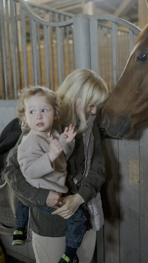 有关一起, 互动, 享受的免费素材视频