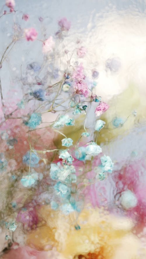 有关垂直视频, 宏观, 新鲜的免费素材视频