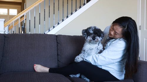 有关坐, 女人, 客厅的免费素材视频