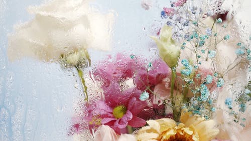 有关概念艺术, 模糊, 水的免费素材视频