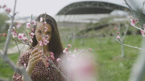 有关夏天, 女人, 年轻的成年人的免费素材视频