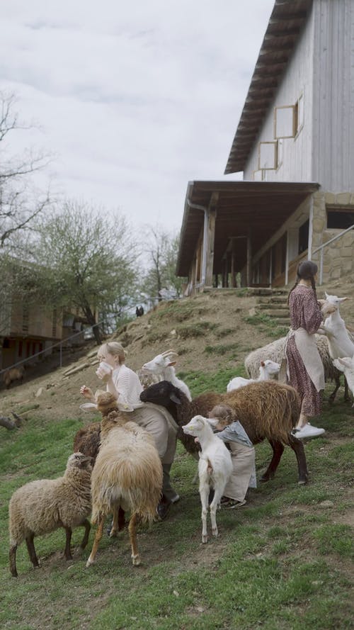 有关休闲, 围裙, 垂直视频的免费素材视频