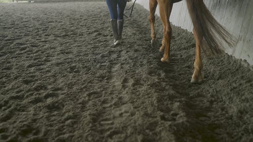 有关低角度拍摄, 步行, 笼的免费素材视频