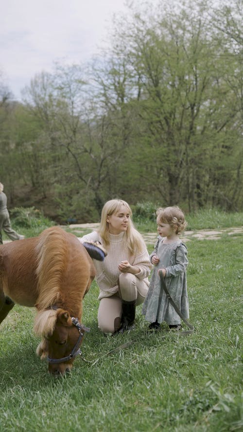 有关刷牙, 动物, 哺乳动物的免费素材视频