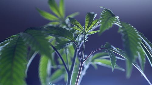 有关4k, 工厂, 模糊的背景的免费素材视频