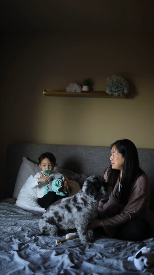 有关一起, 互动, 儿童的免费素材视频