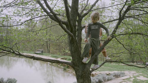 有关天性, 孩子, 年轻的免费素材视频