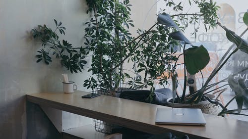 有关互联网, 休闲, 光的免费素材视频