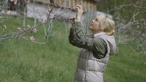 有关切, 切割工具, 天性的免费素材视频