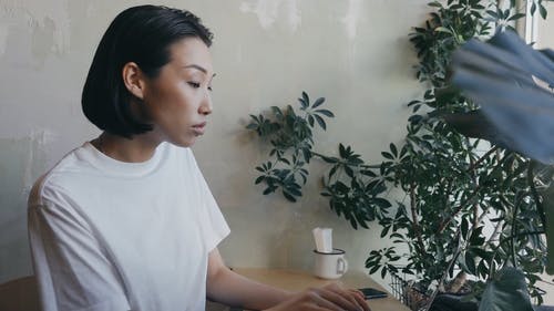 有关休闲, 优雅, 咖啡店的免费素材视频