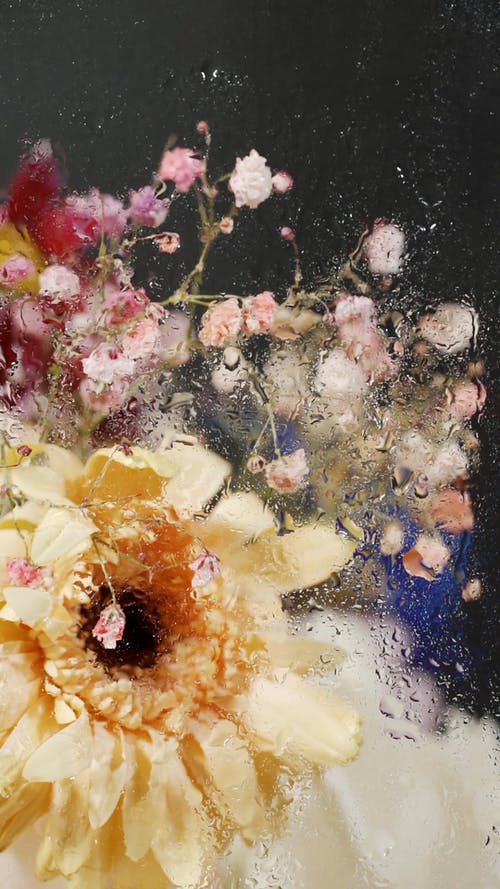 有关喷, 垂直视频, 新鲜的免费素材视频