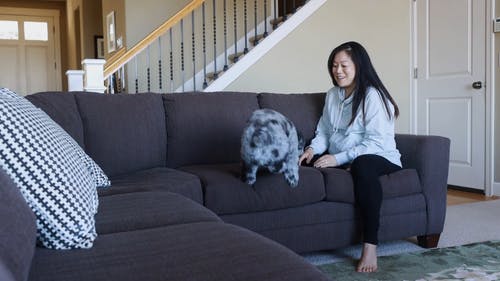 有关坐, 女人, 客厅的免费素材视频