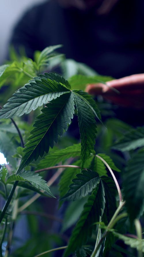 有关4k, 垂直视频, 工厂的免费素材视频