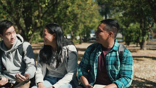 有关互动, 休闲, 公园的免费素材视频