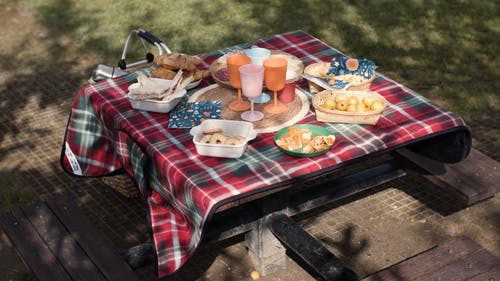 有关公园, 塑料杯, 天性的免费素材视频