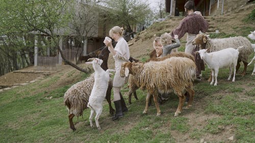 有关天性, 女性, 年轻的免费素材视频