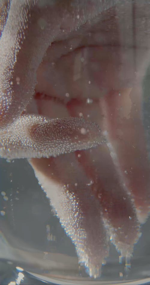 有关垂直视频, 手, 汽水的免费素材视频