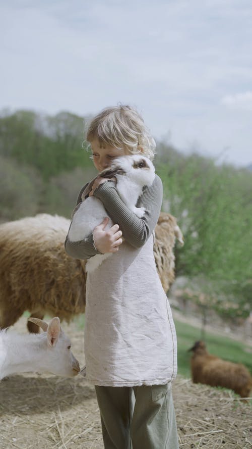 有关儿童, 兔子, 动物爱好者的免费素材视频