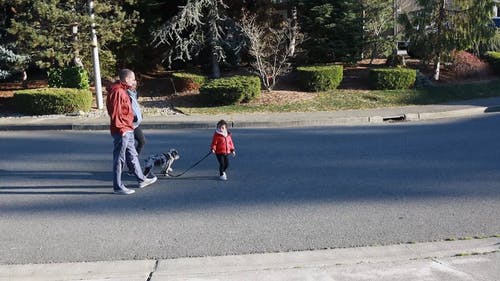 有关一对, 享受, 人的免费素材视频