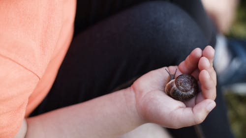 有关儿童, 动物, 手的免费素材视频