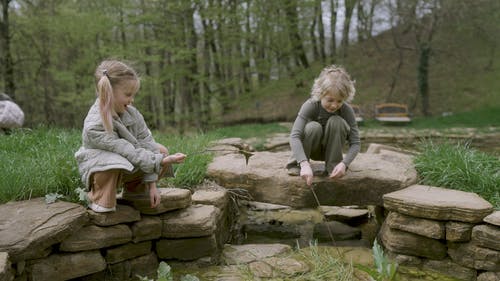 有关休闲, 兄弟, 公园的免费素材视频