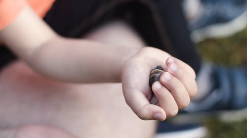 有关儿童, 动物, 小孩的免费素材视频