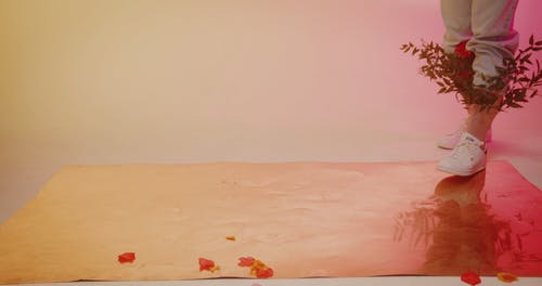 有关人, 地面射击, 工厂的免费素材视频