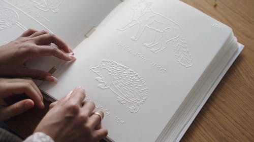 有关动物, 包容, 失明的免费素材视频