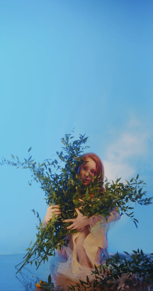 有关分支机构, 垂直视频, 女人的免费素材视频